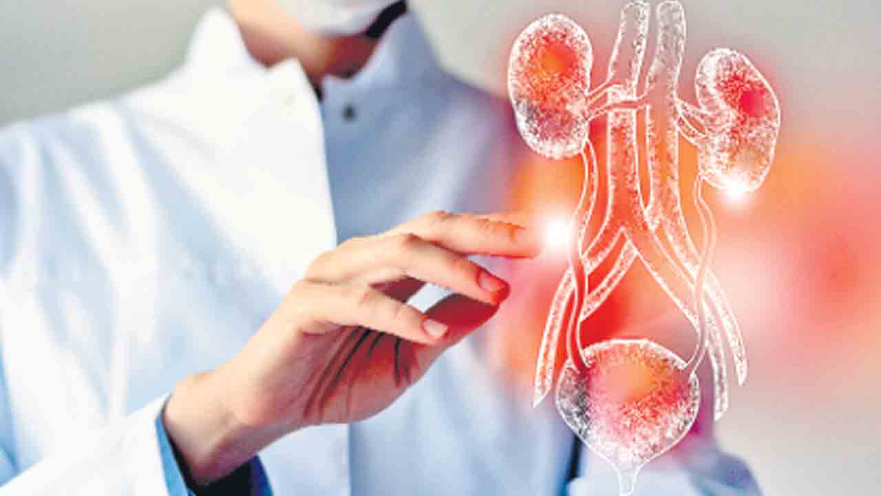 ఇవి అతిగా వద్దు..