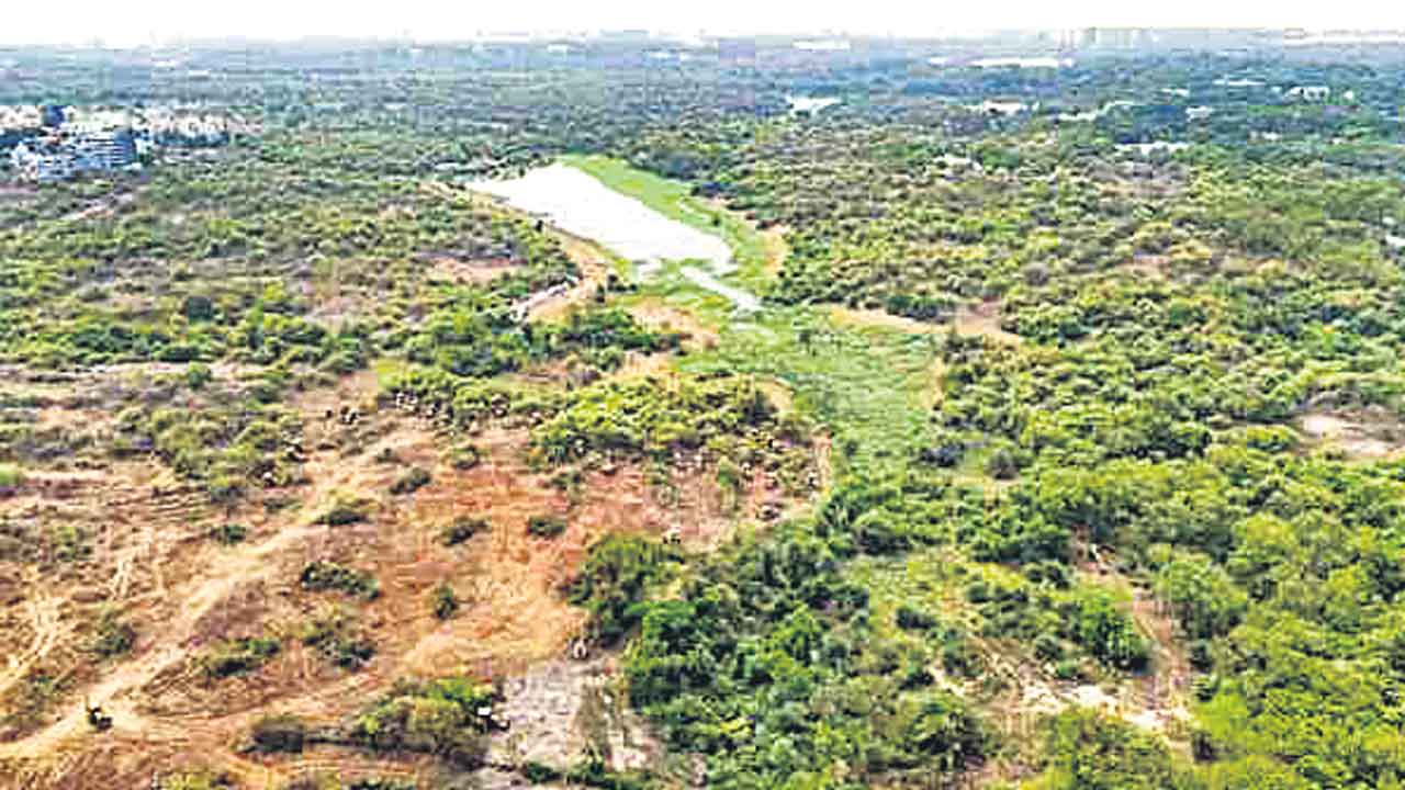 Supreme Court | ‘కంచ’ భూములపై రేవంత్‌ సర్కారు తీరు..! విధ్వంసంపై ‘సుప్రీం’ నేడు విచారణ..!