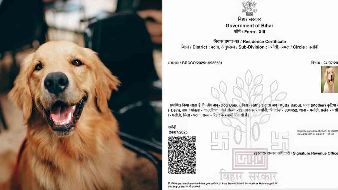 కుక్కకు రెసిడెన్సీ సర్టిఫికెట్‌!