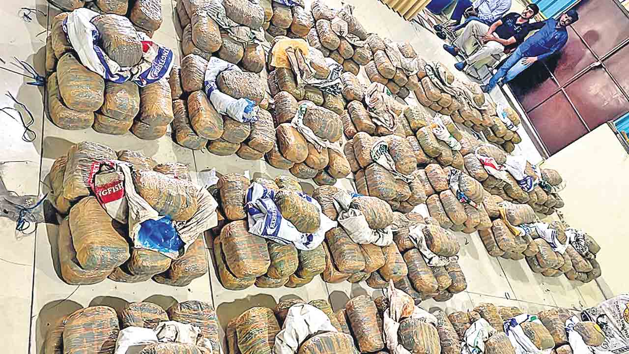 ముందు కాన్వాయ్‌.. వెనుక గంజాయ్‌.. 5 కోట్ల విలువైన 935 కేజీల గంజాయి స్వాధీనం