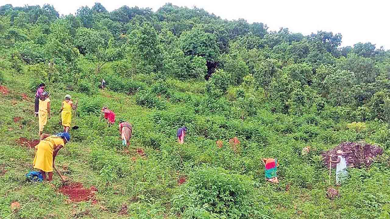 సీతక్కకు 49 పరీక్ష