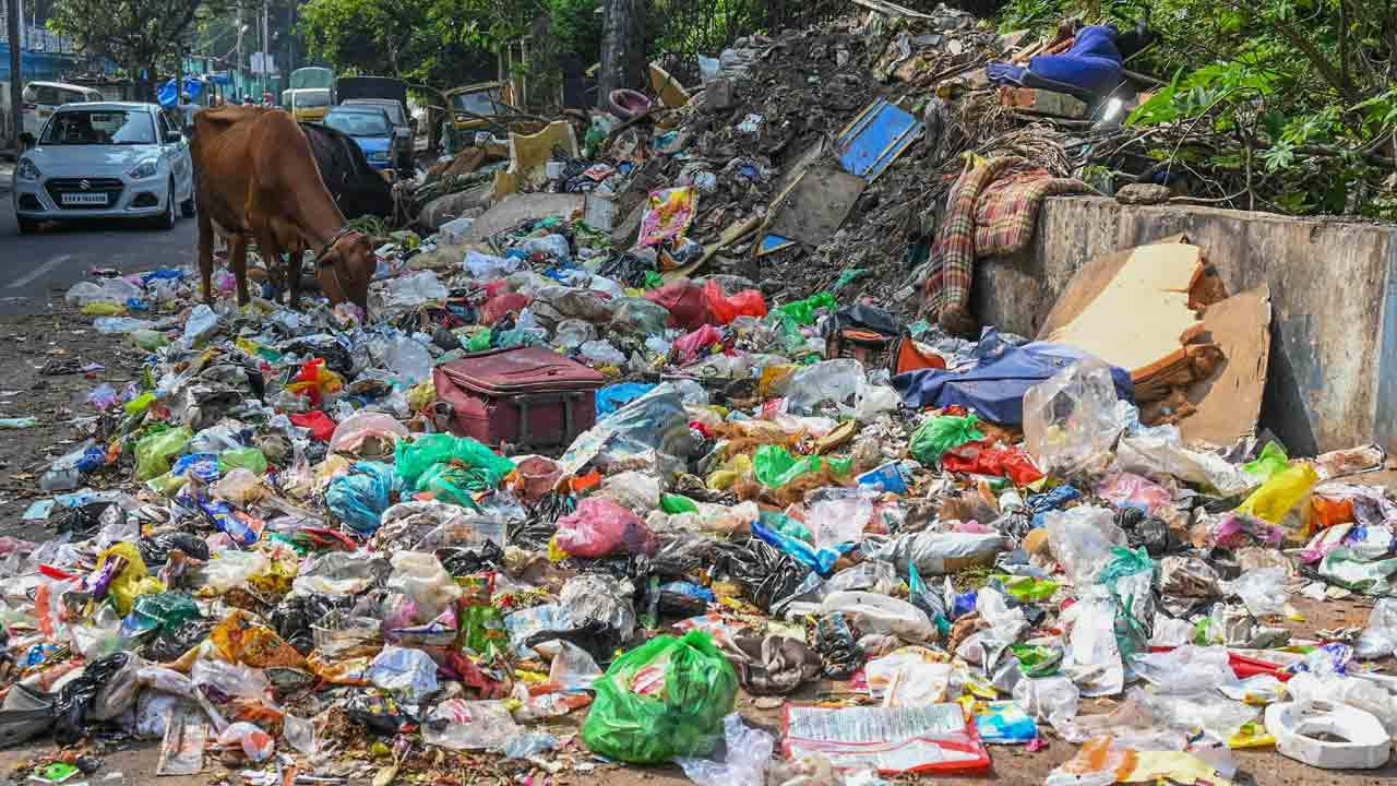 ఎక్కడి చెత్త అక్కడే.. పల్లెల్లో పడకేసిన పారిశుధ్యం