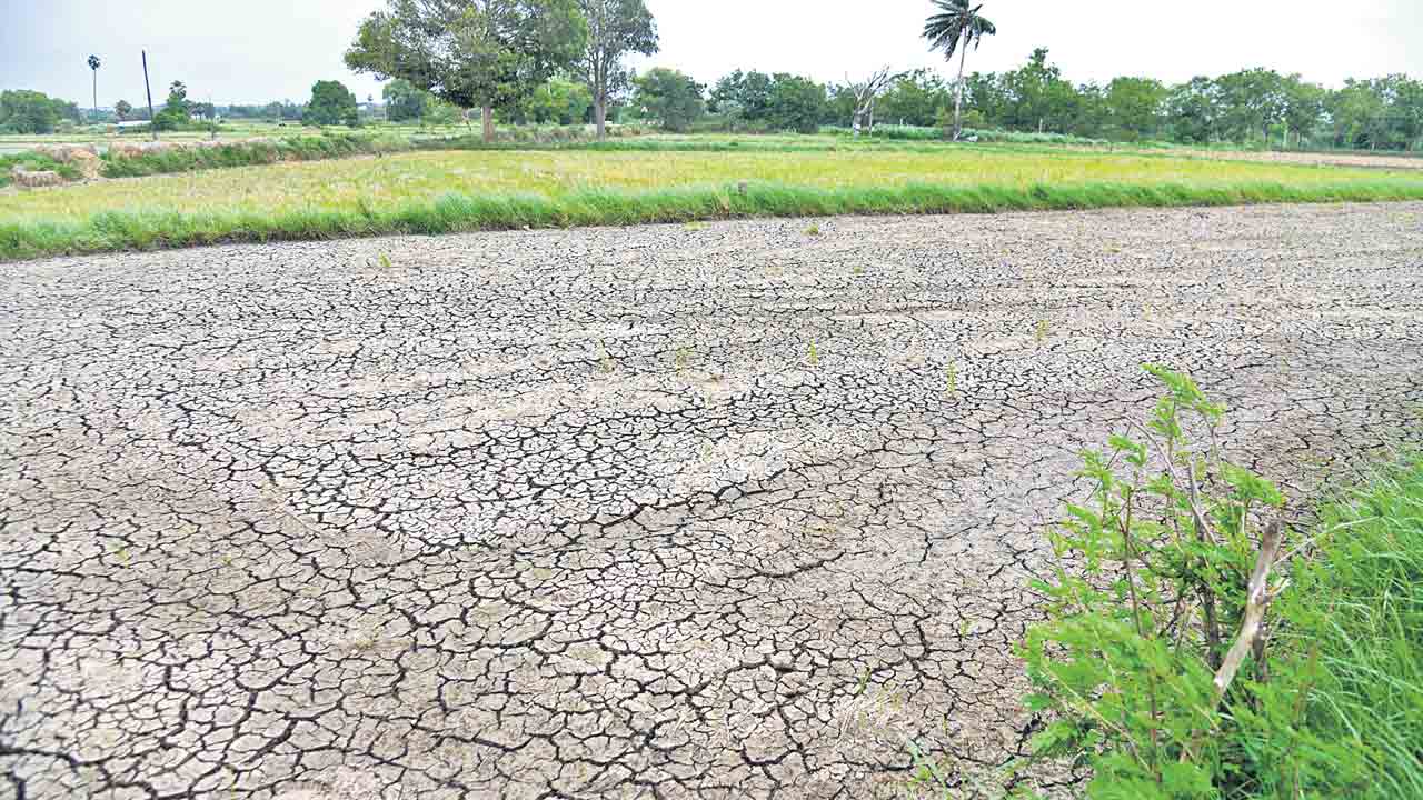 సార్ చెప్పిందే నేడు జరుగుతున్నది
