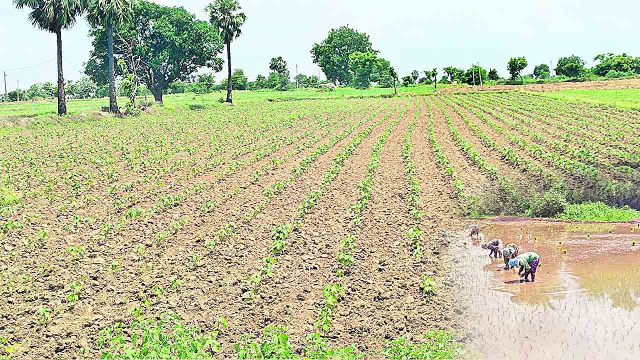 ముందుకు సాగేదెలా ?