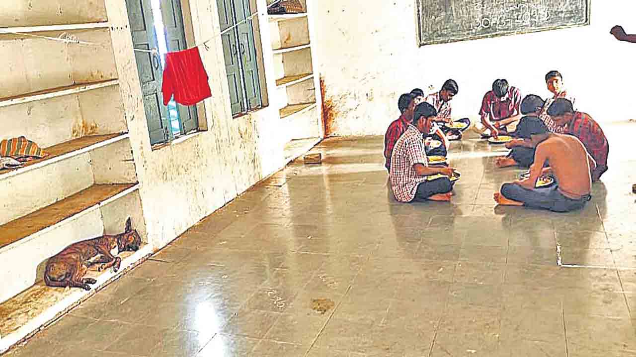 హాస్టల్‌లోకి వీధి కుక్కలు