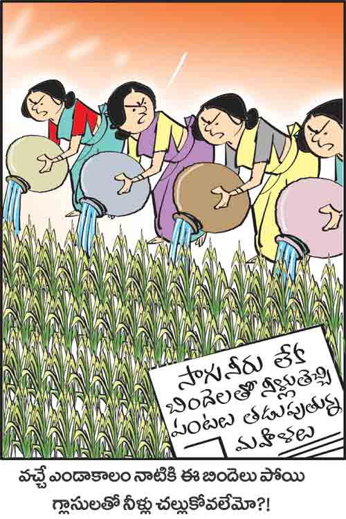 09