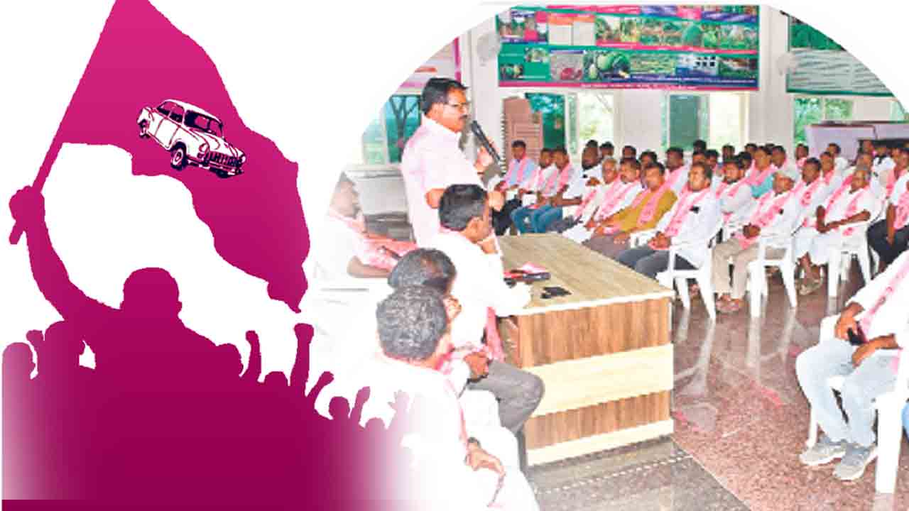 గులాబీ సందడి