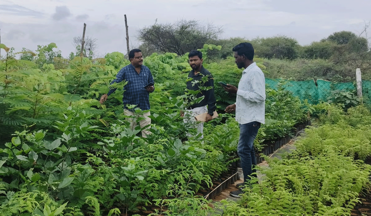Mathani | పారుపల్లి గ్రామాన్ని తనిఖీ చేసిన మథని డీఎల్‌పీవో ఆకస్మీక తనిఖీ