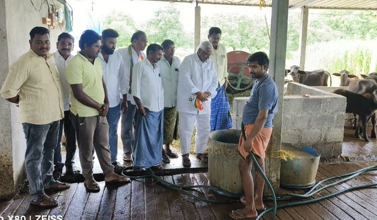 support dairy farmers | పాడి రైతులను ఆదుకునేందుకు ప్రభుత్వం ప్రోత్సహాకం అందించాలి..మాజీ మంత్రి జీవన్ రెడ్డి
