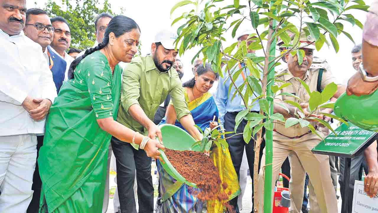 ప్రతి తల్ల్లి రెండు మొక్కలు పెంచాలి