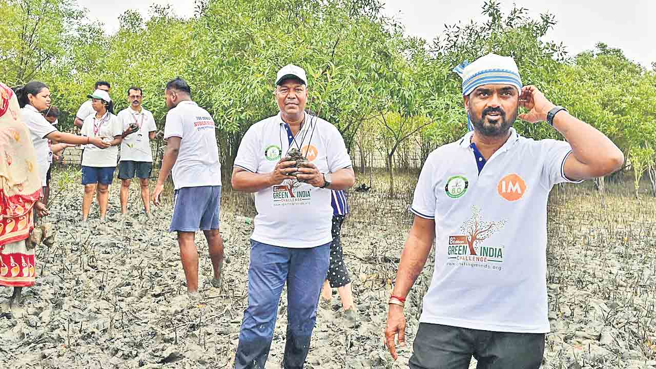 ఎల్లలు దాటిన గ్రీన్‌ ఇండియా