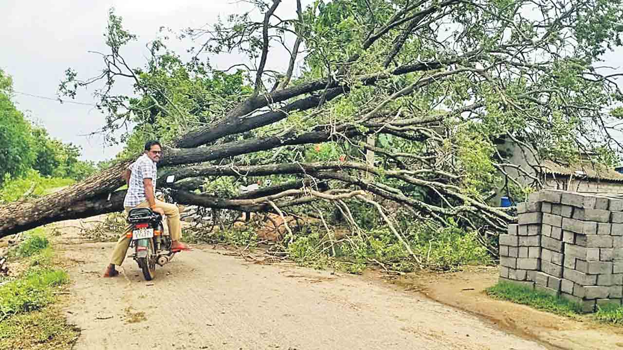దంచికొట్టిన వాన