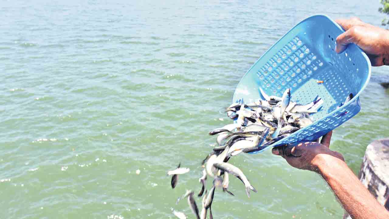 మత్స్యకారుల నోట్లో మట్టి..!