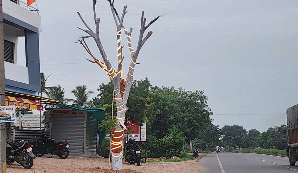 Thimmapoor | హరితహారం చెట్లు కొట్టి.. లైట్లు పెట్టారు..!