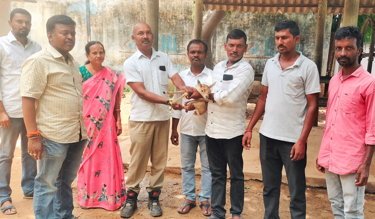 Nijamabad | యాద్ గార్ పూర్ లో జింక పిల్ల లభ్యం.. అటవీ శాఖ అధికారులకు అప్పగింత