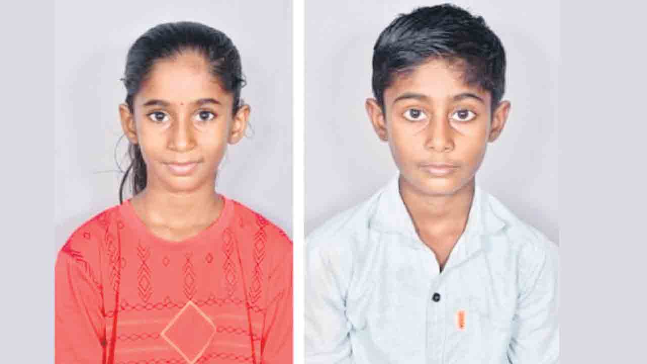 నీటిగుంతలో పడి అక్కా, తమ్ముడు మృతి