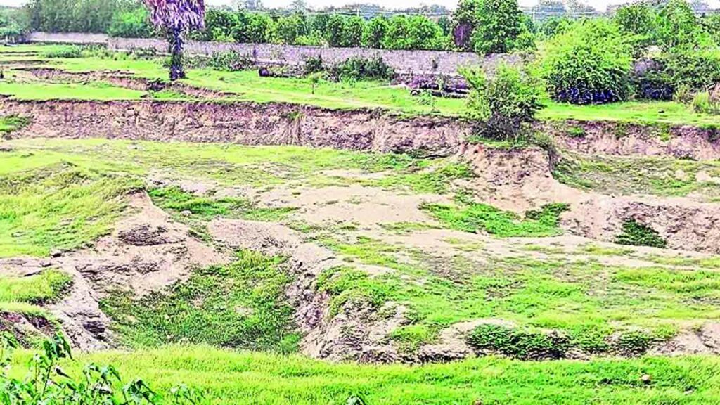 Agricultural Lands