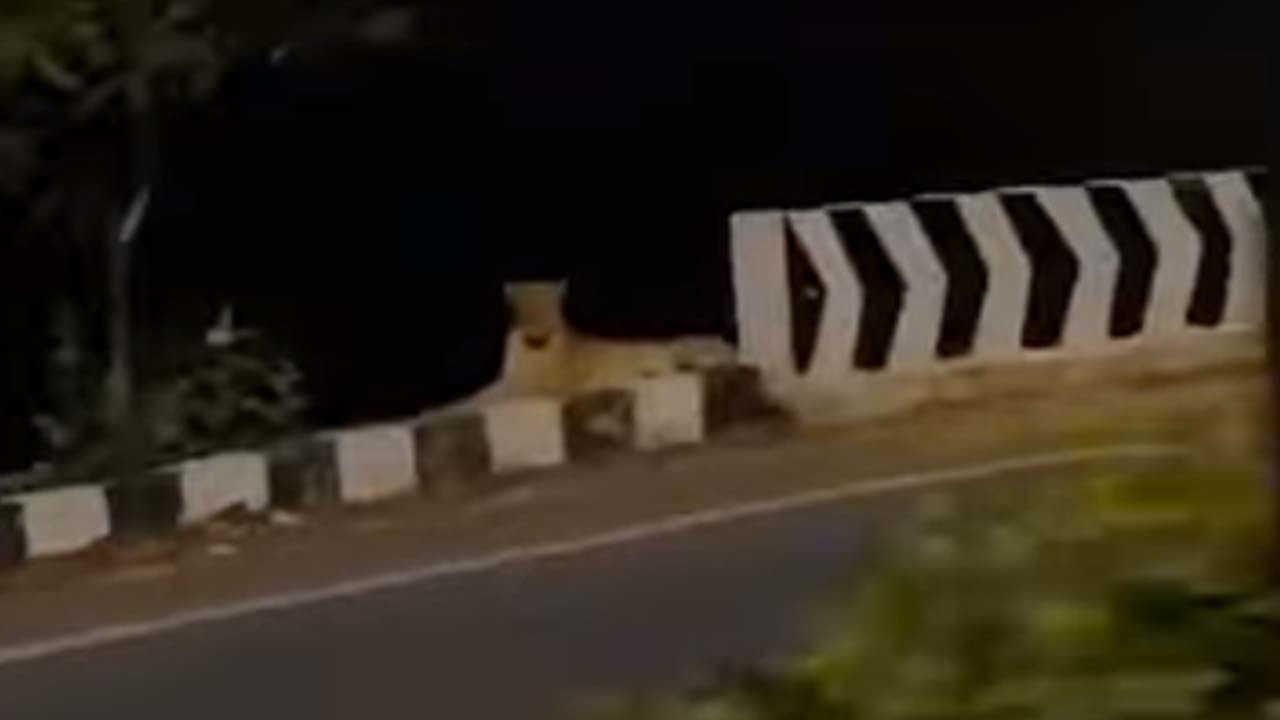 Leopard | అలిపిరికి దగ్గరలో చిరుత సంచారం.. భయాందోళనలో శ్రీవారి భక్తులు