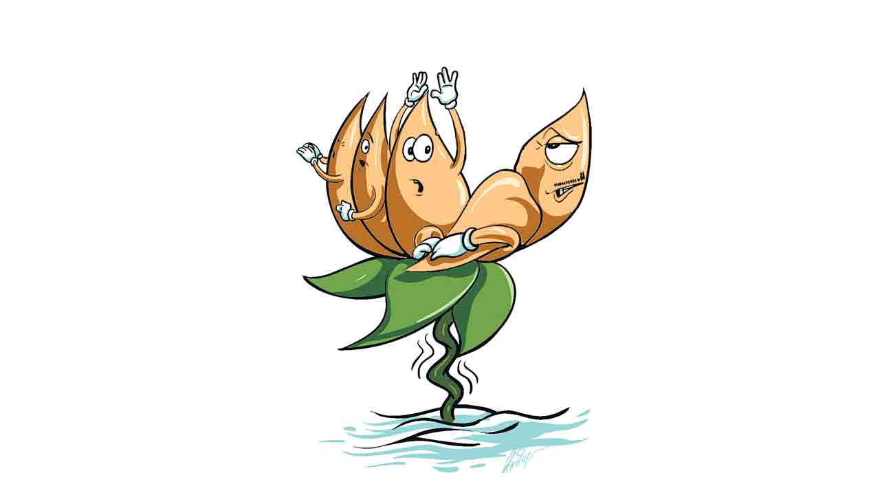 ఎవరికి వారే.. బీజేపీ తీరే.. బీజేపీలో వర్గపోరు