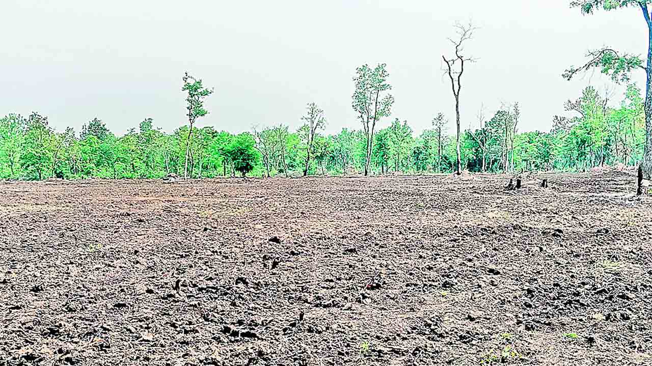 రప్పా.. రప్పా.. భూపాలపల్లి అడవుల్లో రంపపు యంత్రాల మోత
