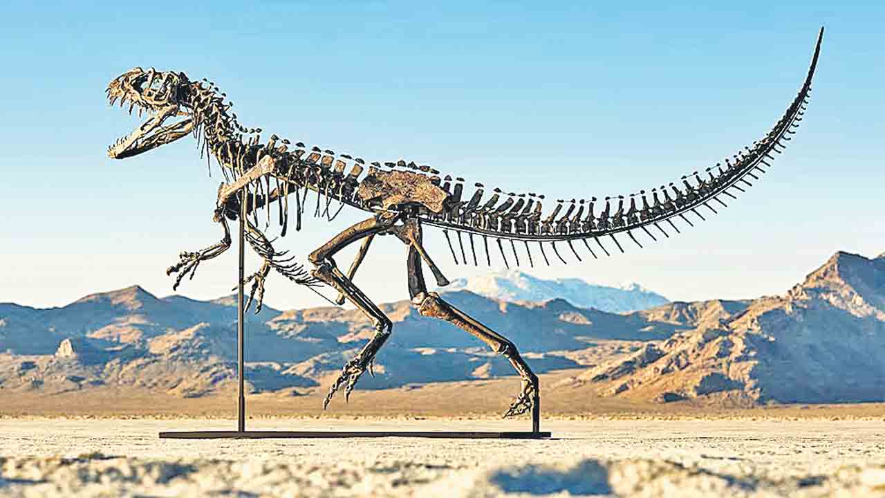 రూ.262 కోట్లు పలికిన బేబీ డైనోసార్‌ అస్థి పంజరం