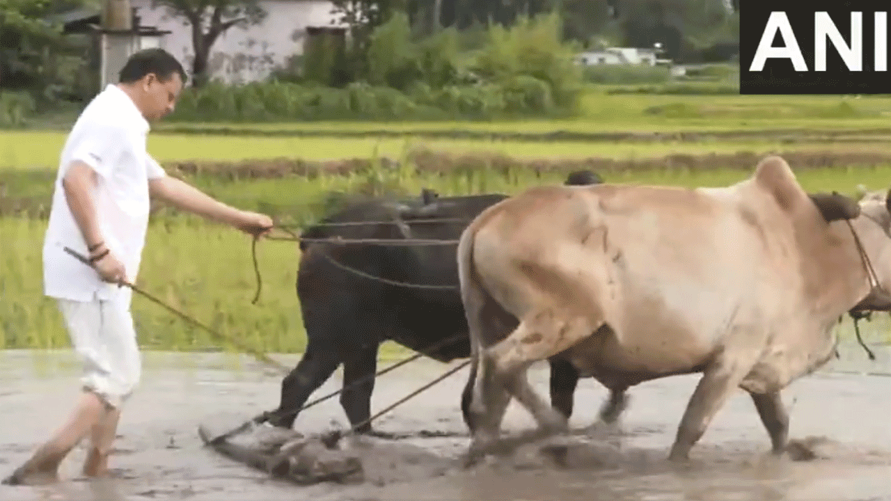 Uttarakhand CM | రైతుగా మారి.. పొలాన్ని దుక్కి దున్నిన సీఎం.. VIDEO