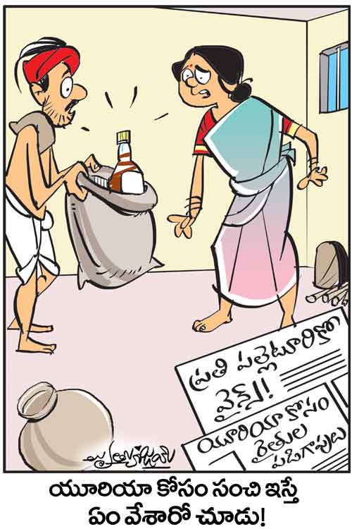 Cartoon