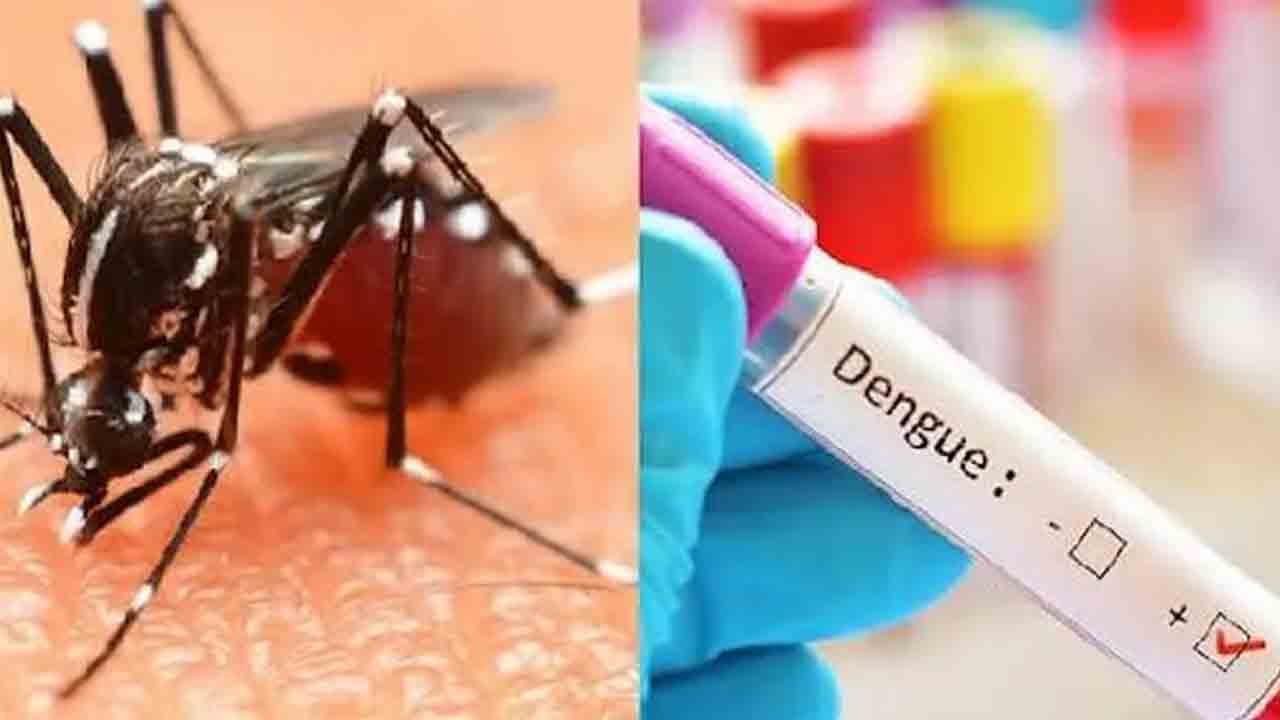 గుబ్బడిగుచ్చతండాలో ముగ్గురికి డెంగీ