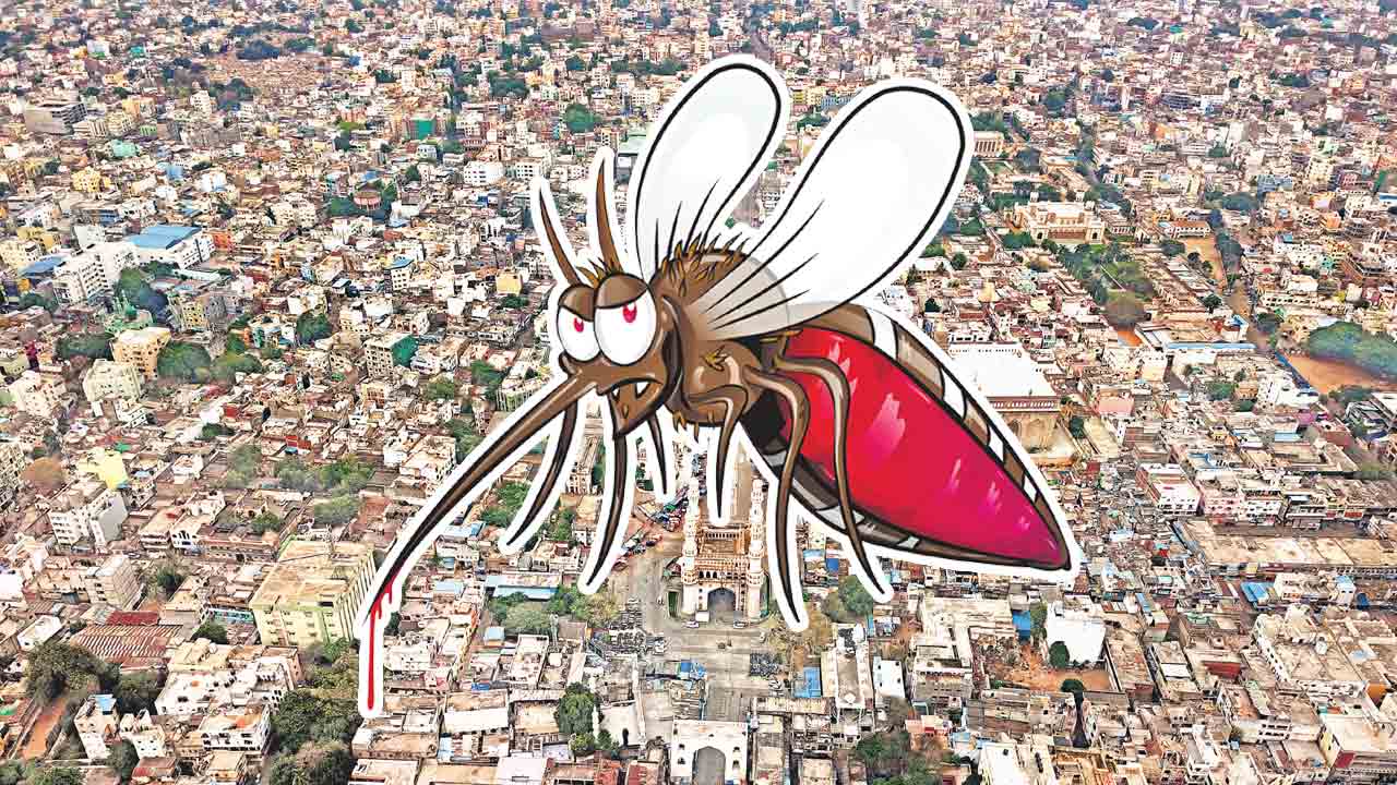 నగరాన్ని కుదిపేస్తున్న డెంగీ