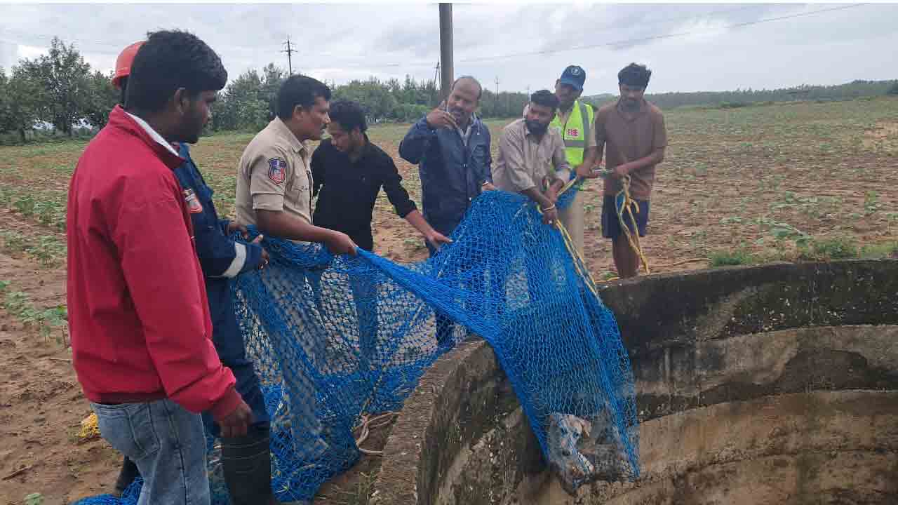 Rescues | బావిలో పడ్డ శునకాన్ని రక్షించిన విపత్తుల శాఖ