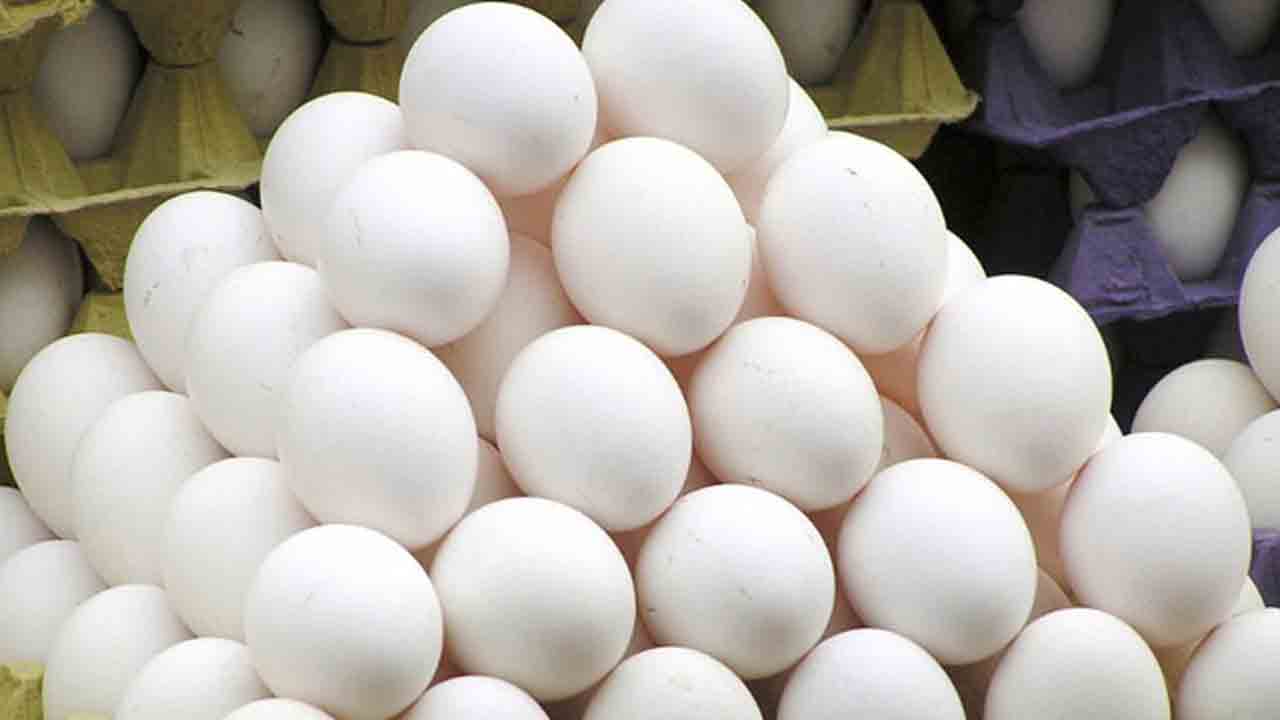 కోడిగుడ్ల టెండర్లలో గోల్‌మాల్‌.. గడువులు పొడిగించి.. రద్దుకు కారణం?