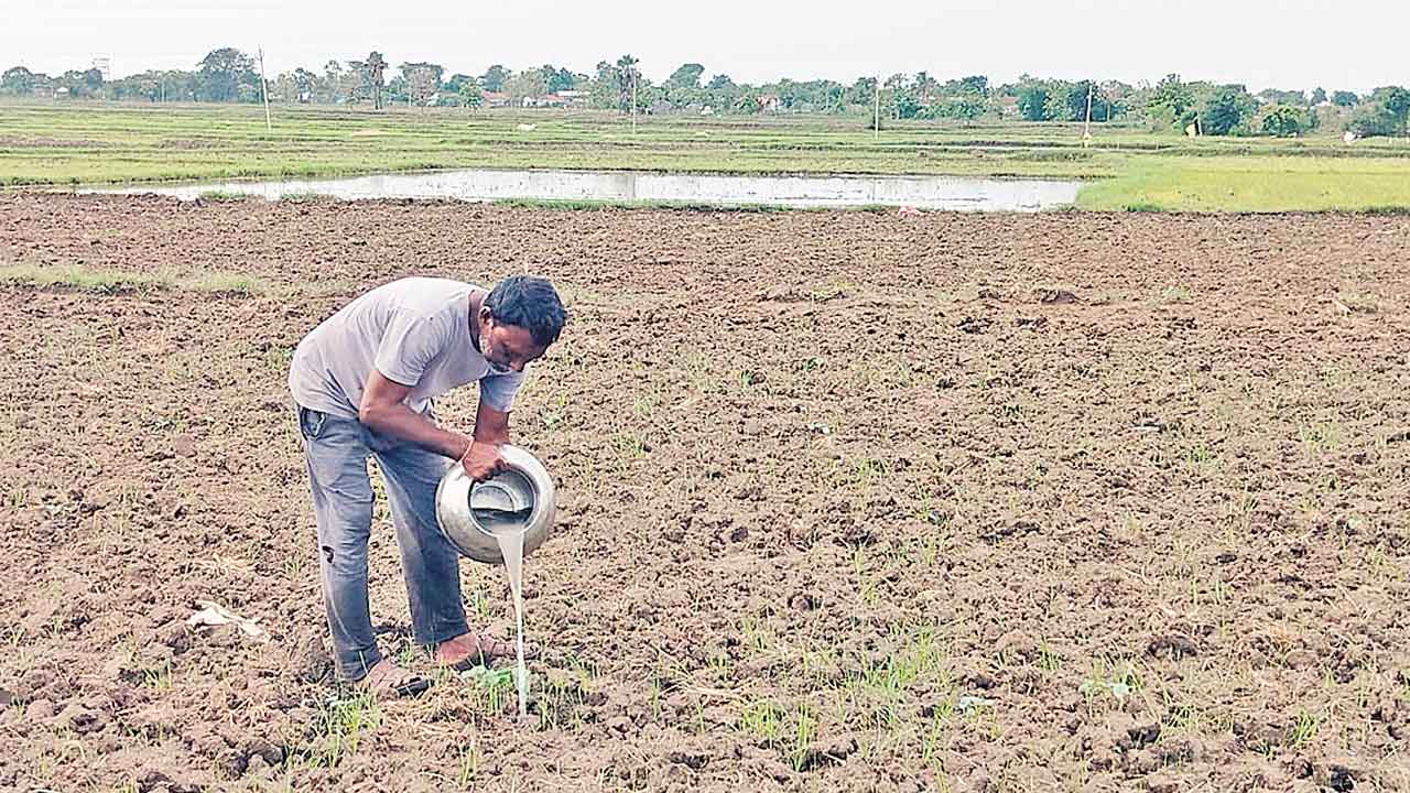 Farmers