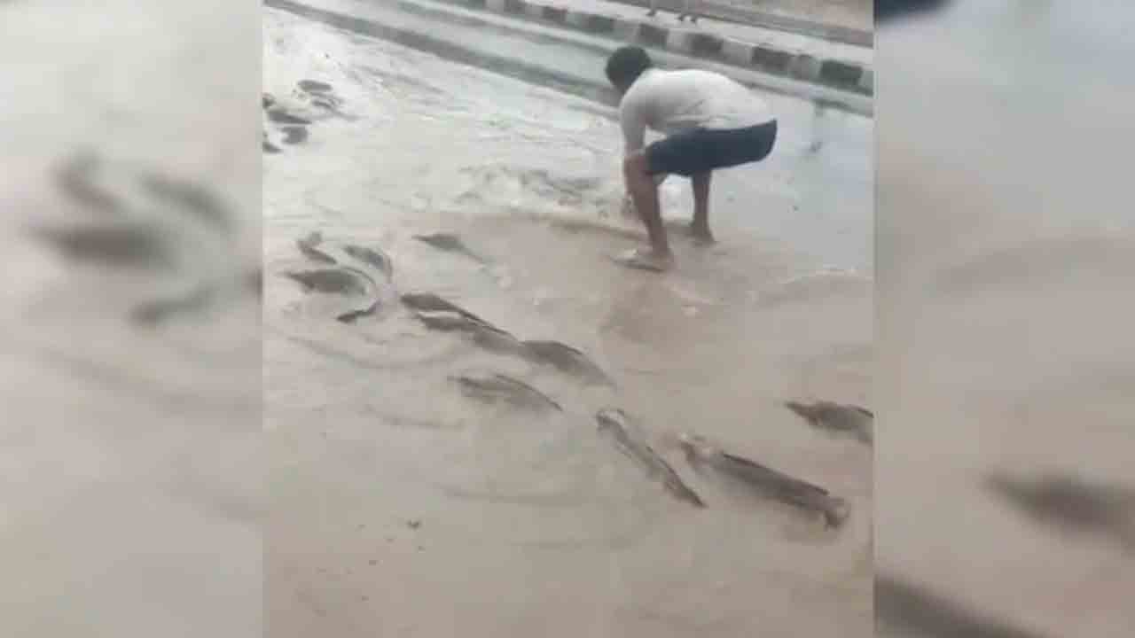 Watch: భారీ వర్షాలు, వరదలకు రోడ్డుపైకి కొట్టుకొచ్చిన చేపలు.. తర్వాత ఏం   జరిగిందంటే?