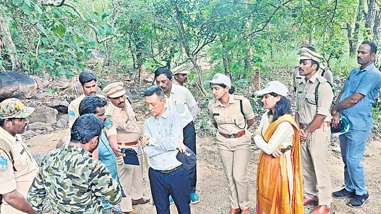 గోకుల్ తండాలో గుర్తించిన అటవీశాఖాధికారులు