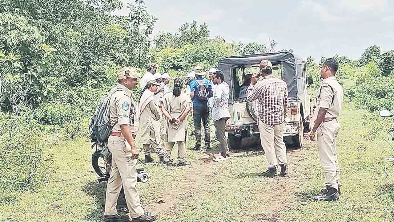 పెద్దపులి కోసం గాలింపు..