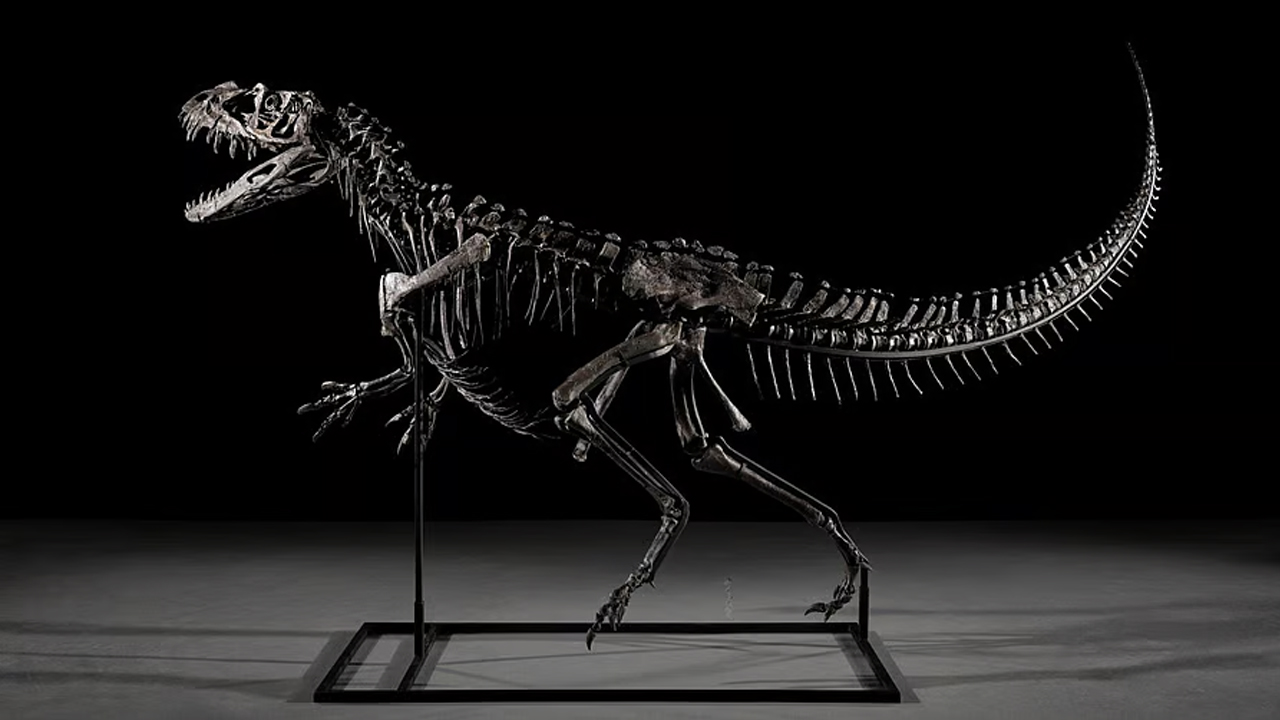 Fossil Auction | వేలంలో రూ.263కోట్లు పలికిన డైనోసర్‌ శిలాజం..!