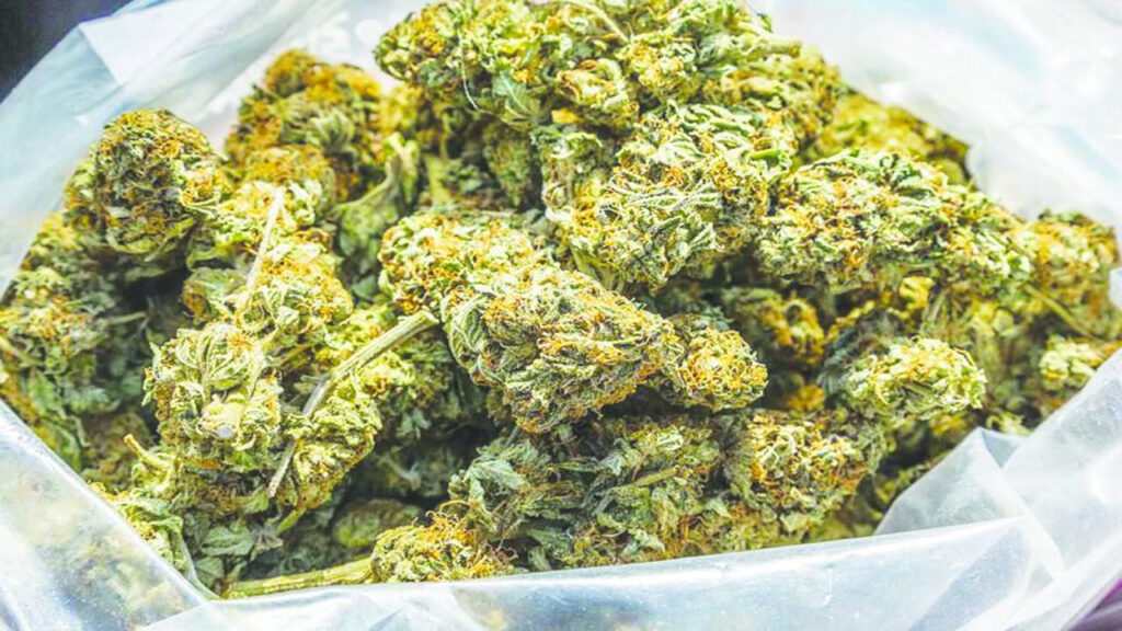 Ganja