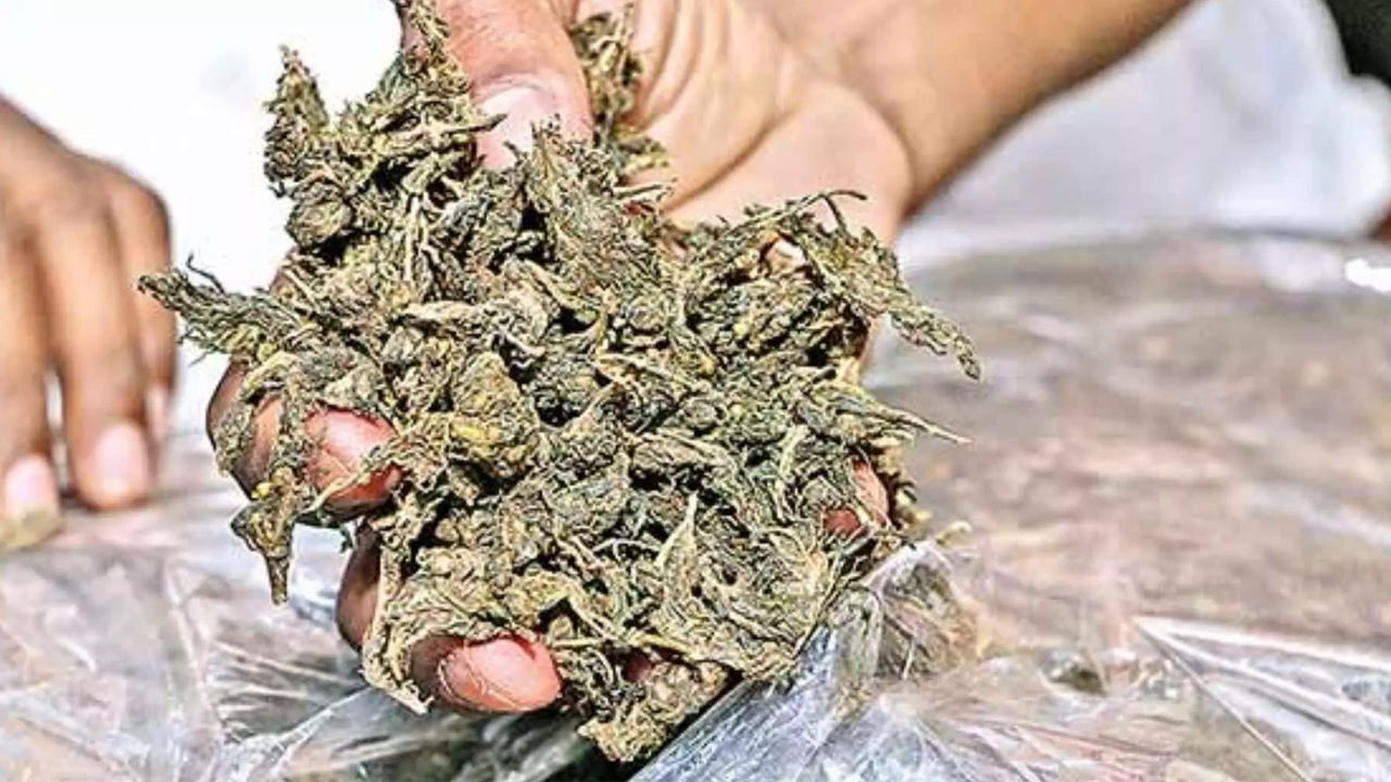 Ganja Seized | ద్విచక్ర వాహనంపై గంజాయి తరలింపు.. ఇద్దరు యువకులను అదుపులోకి తీసుకున్న పోలీసులు