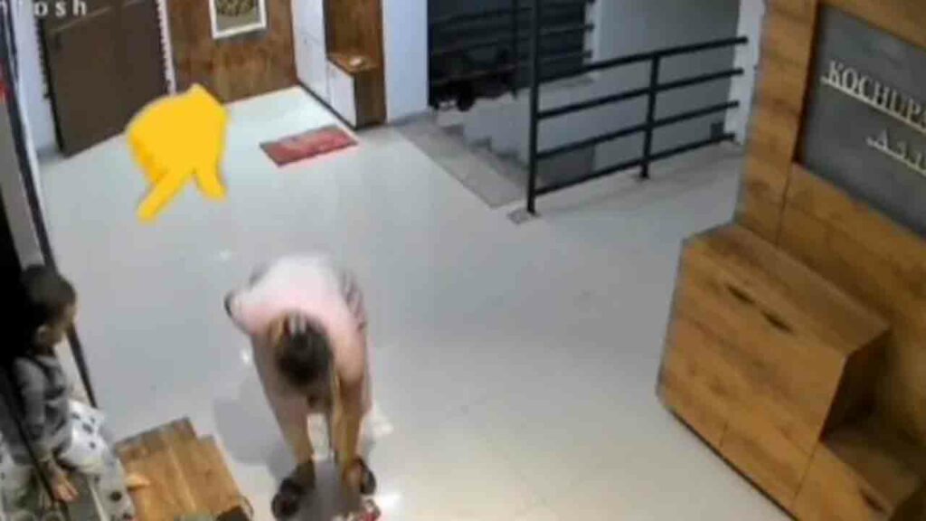 Girl Falls From 12th Floor