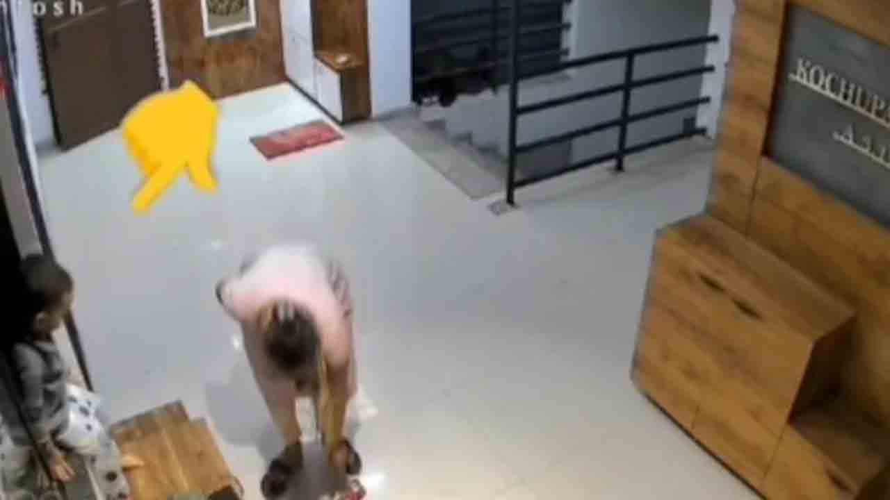 Watch: చిన్నారిని షూ ర్యాక్‌పై కూర్చోబెట్టిన తల్లి.. తర్వాత ఏం జరిగిందంటే?