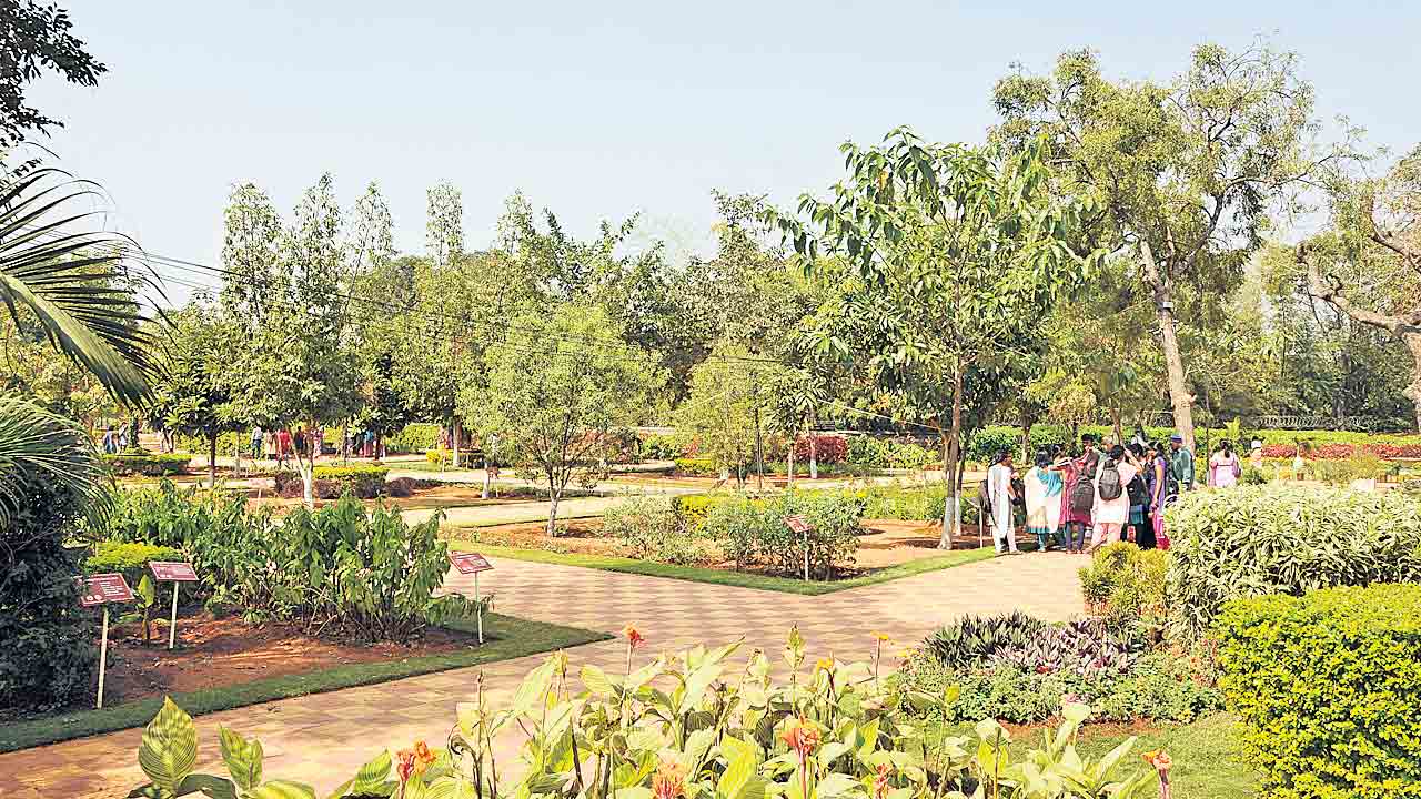 కేసీఆర్‌ విజన్‌ నగరం గ్రీన్‌ జోన్‌.. వాయు కాలుష్యంలేని నగరాల్లో హైదరాబాద్‌ సిటీ భేష్‌