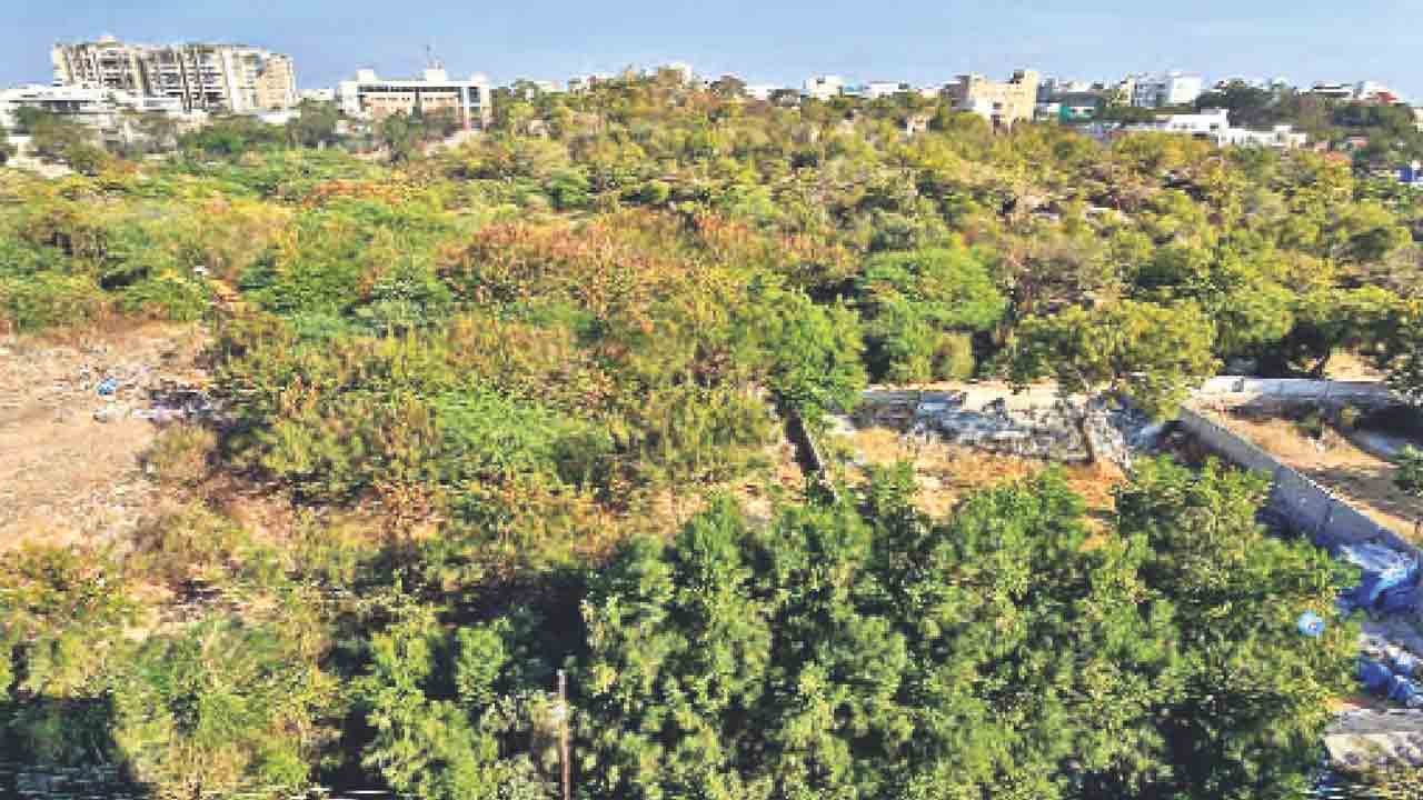 ఎకో పార్కు స్థలం.. అమ్మేందుకు కుట్రలు