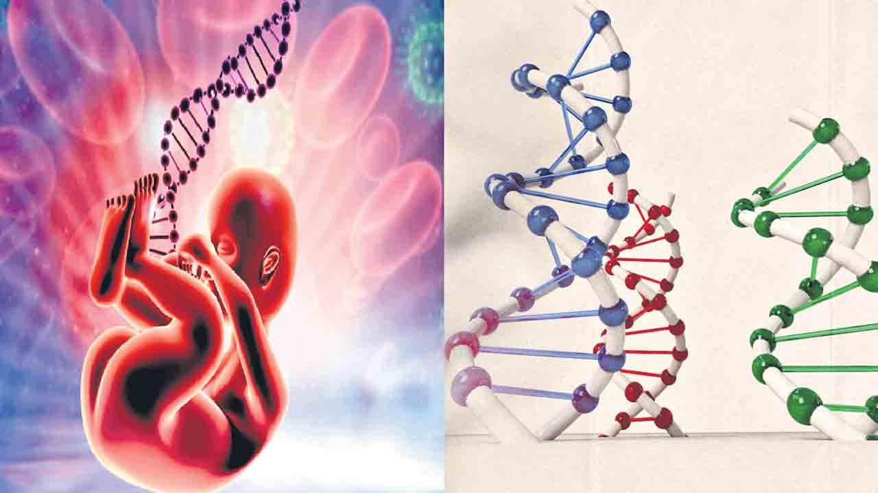 ముగ్గురి డీఎన్‌ఏతో శిశువుల జననం.. వంశపారంపర్య వ్యాధులకు సరికొత్త ఐవీఎఫ్‌తో చెక్‌!