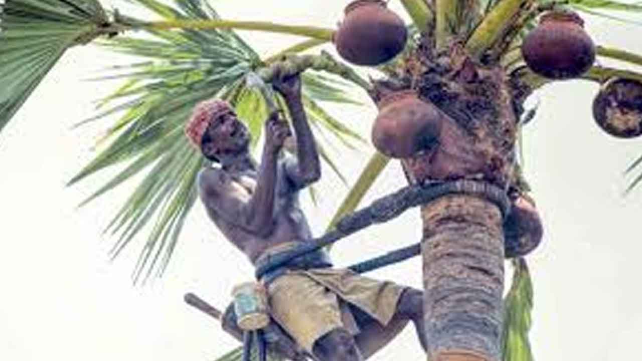 కల్లు గీత సంఘాలు రద్దు?.. ఆబ్కారీ శాఖ నుంచి నివేదికలు తెప్పించుకున్న ప్రభుత్వం