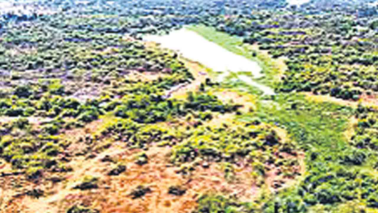 సాధికార కమిటీపైనే సర్కారు నిందలు