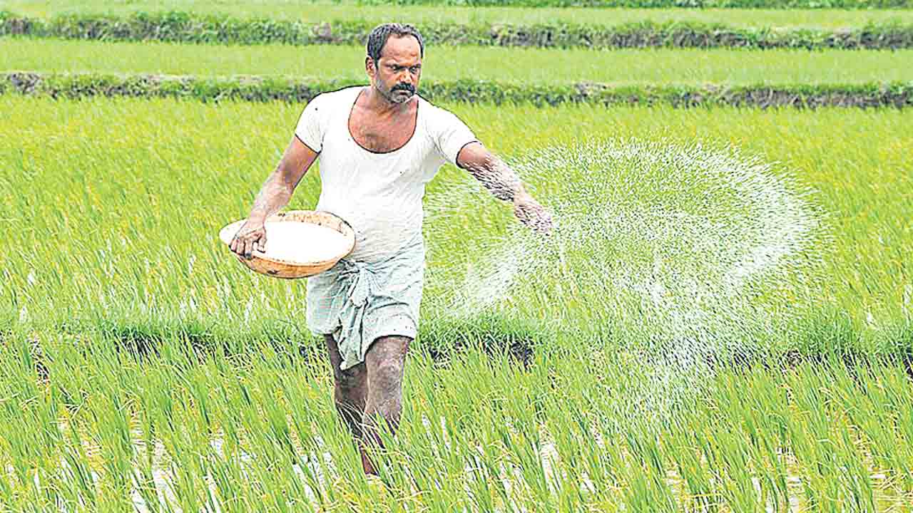 ఎకరాకు ఒక్క బస్తే.. వచ్చే నెలలో యూరియా దొరికేనా..?