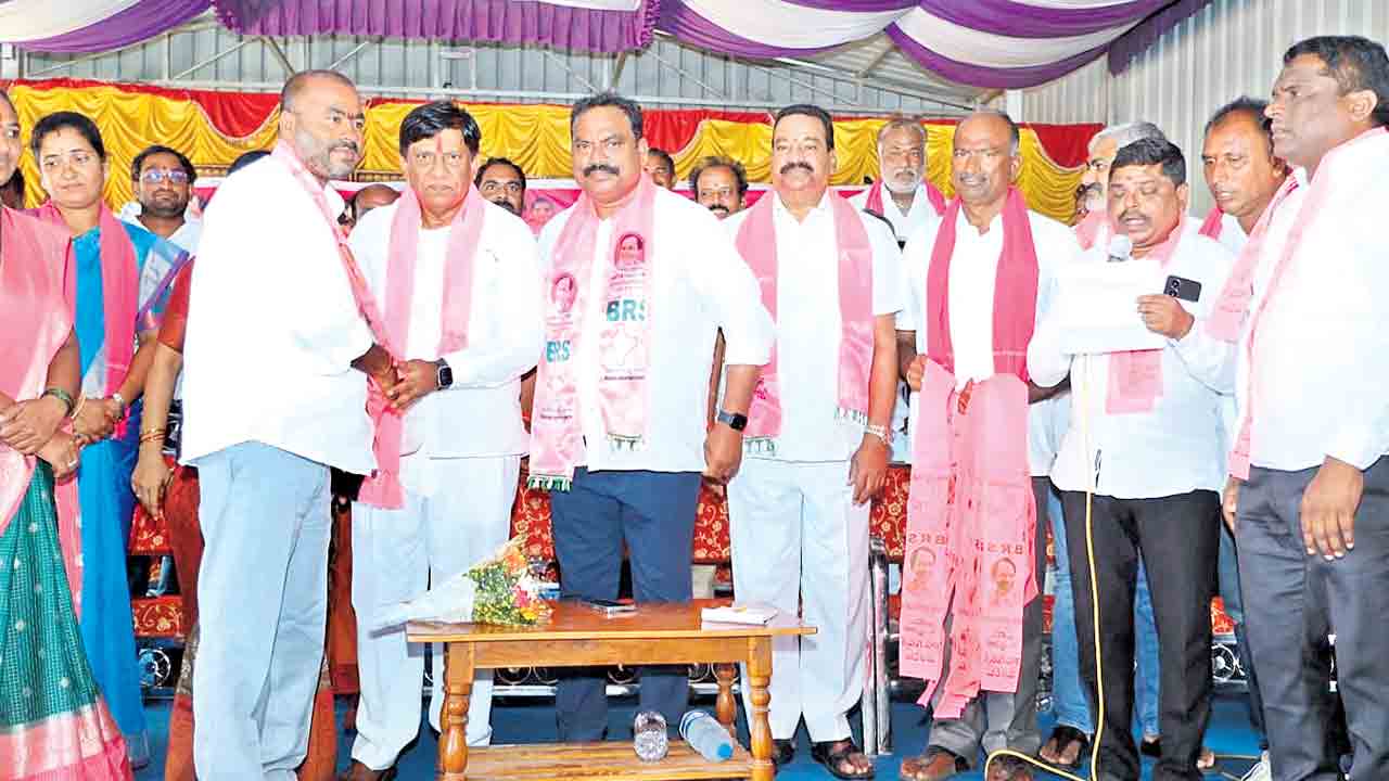 గులాబీ జెండా ఎగరేద్దాం