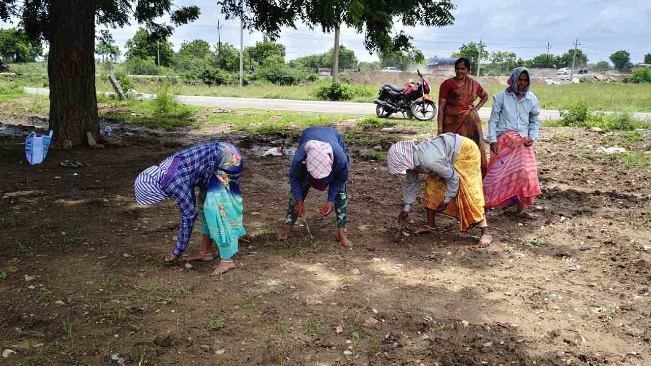 రైతన్న బిజీబిజీ