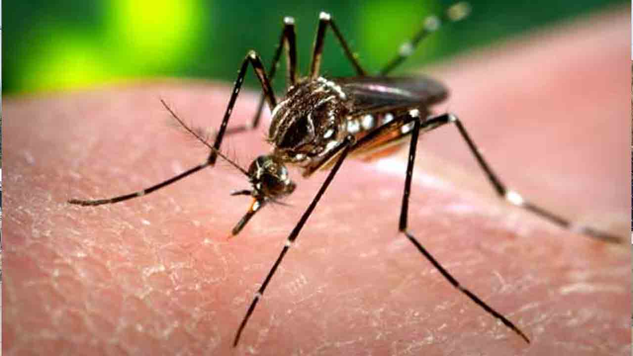Mosquitoes Prevention | దోమల నివారణకు చర్యలు : హెల్త్ ఎడ్యుకేటర్ రాథోడ్ రవీందర్