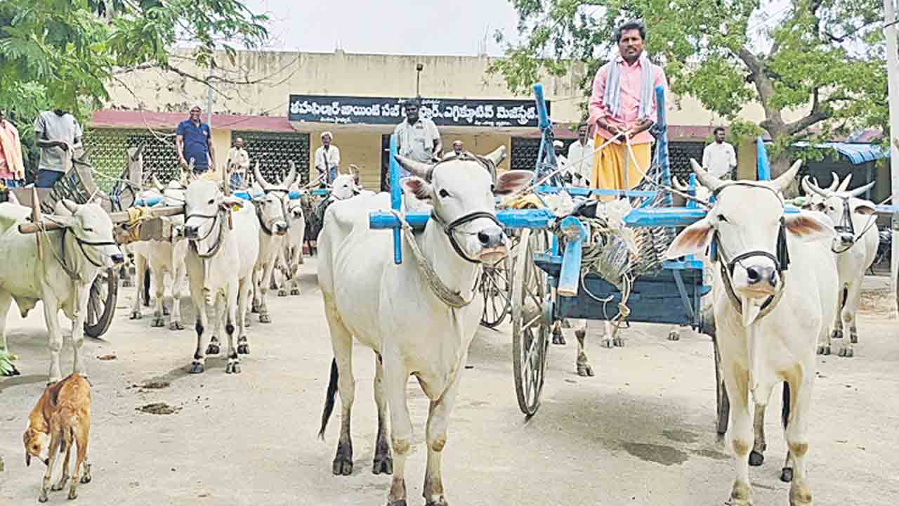 బిక్కేరు నుంచి ఇసుక తరలిస్తే ఊరుకోం..!